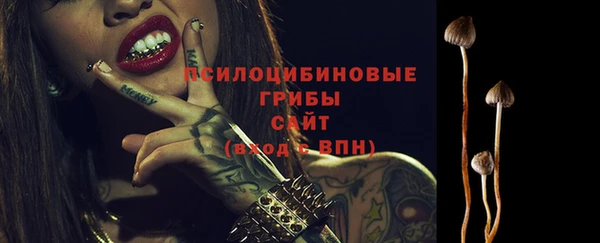 ECSTASY Нея