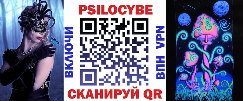 продажа наркотиков Дмитриев Галлюциногенные грибы Psilocybe